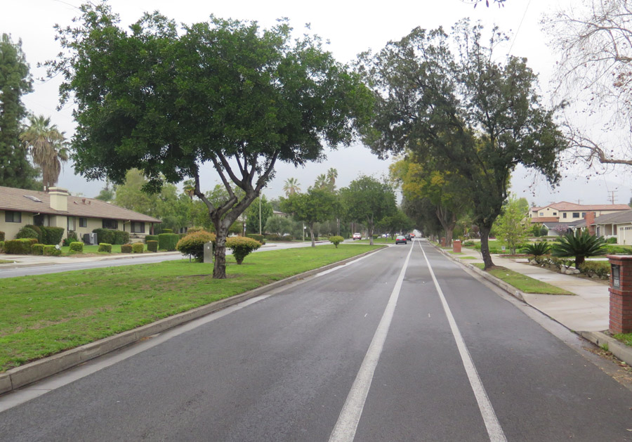 Chantry Flats is a Climb for All Seasons CiclaValley